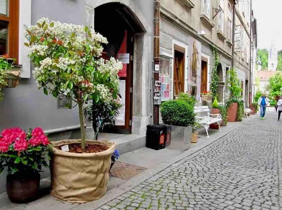 Artistic Studio Quiet Crusader Street Apartment Ljubljana